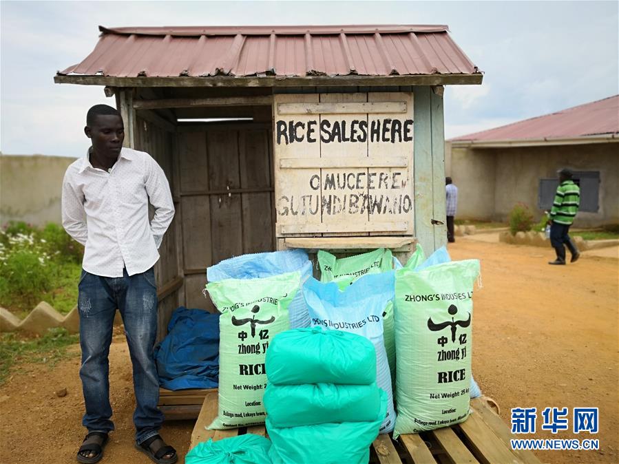تحول أرض قاحلة إلى حقل زراعي في أوغندا بمساعدة شركة صينية