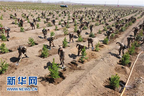 زراعة 800 ألف هكتار من الغابات في منغوليا الداخلية بشمالي الصين على مدار 70 عاما