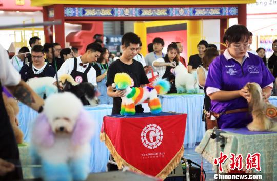 بالصور: معرض الحيوانات الأليفة الآسيوي بشانغهاي