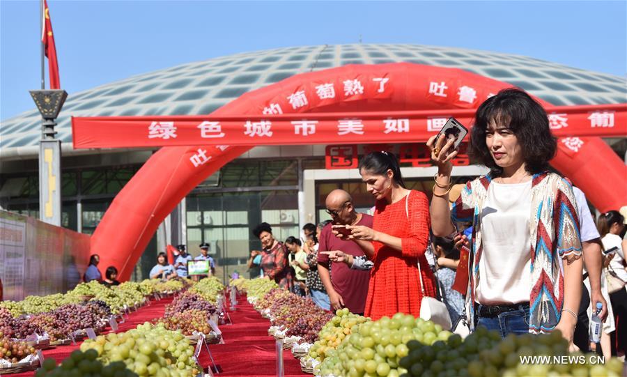 انطلاق مهرجان توربان السنوي للعنب في منطقة شينجيانغ الويغورية ذاتية الحكم بشمال غربي الصين