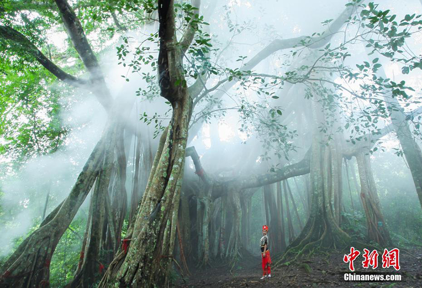 ديهونغ في جنوب غربي الصين.. صور نادرة ومشاهد رائعة من الطبيعة