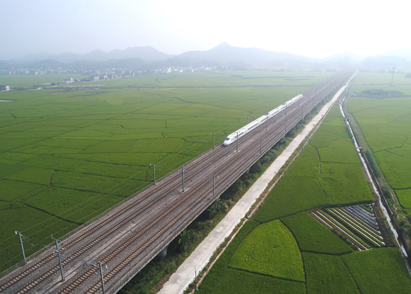 افتتاح قاعدة بحثية للأرز الهجين في جنوبي الصين بهدف إنتاج 18 طنا لكل هكتار