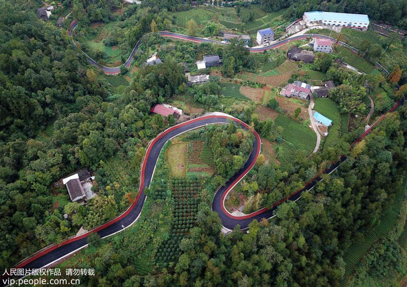 الطريق الريفي الملون .. الطريق نحو الثراء في جنوب الصين