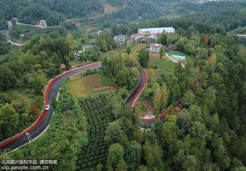 الطريق الريفي الملون .. الطريق نحو الثراء في جنوب الصين
