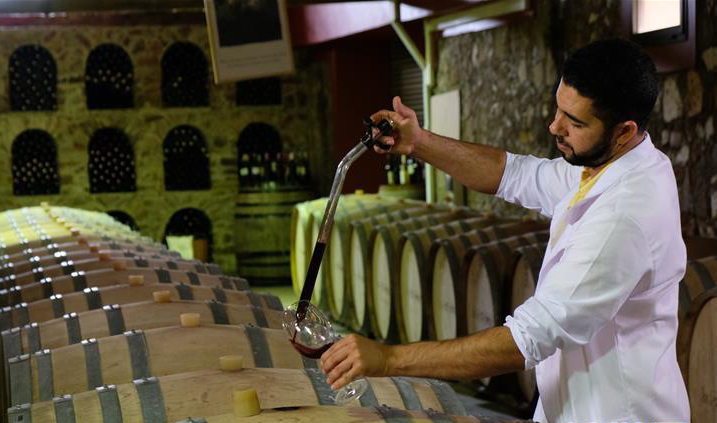 مصنع نبيذ مغربي يستعد للمشاركة في معرض الصين الدولي للاستيراد