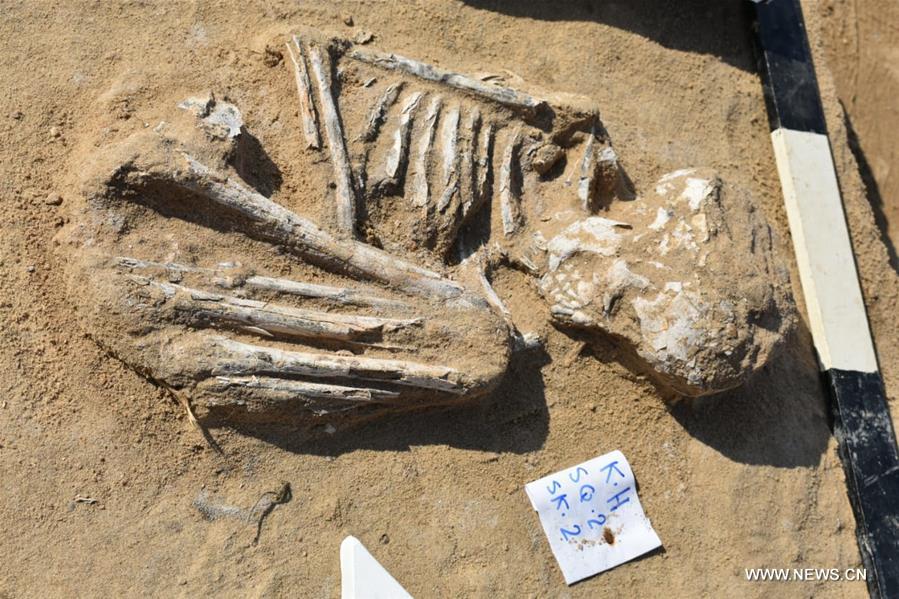 اكتشاف جبانة متعددة الطبقات تعود لعصر ما قبل الأسرات في مصر