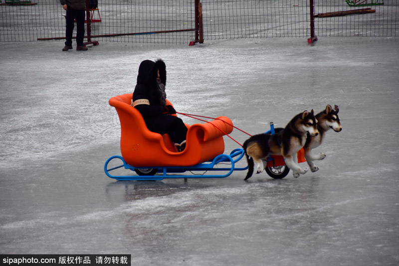 بالصور: القصر الصيفي ببكين يقدم لزواره تجربة التزلج بمساعدة 