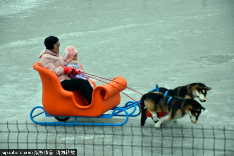 بالصور: القصر الصيفي ببكين يقدم لزواره تجربة التزلج بمساعدة 