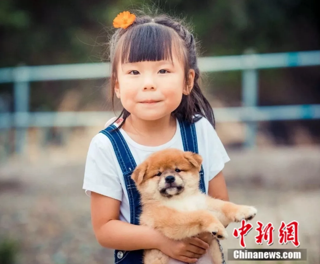 أب صيني يبني جنة حيوانات خاصة لابنته