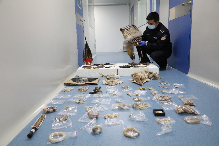 الصين تعاقب 2556 شخصا في قضايا متعلقة بالحياة البرية وسط تفشي فيروس كورونا الجديد