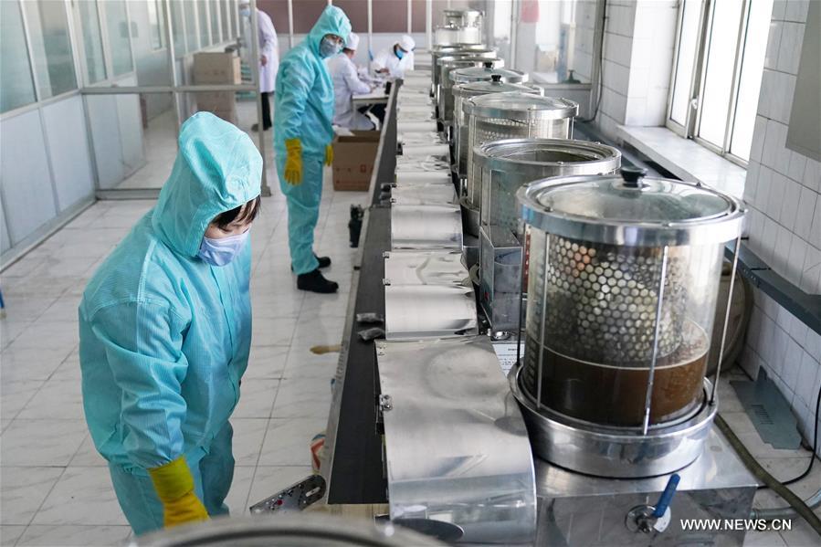 إنتاج أدوية تقليدية صينية للوقاية من فيروس كورونا الجديد