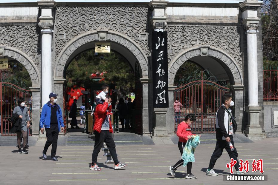 حديقة  الحيوان ببكين  تعيد فتح أبوابها بعد 58 يوما