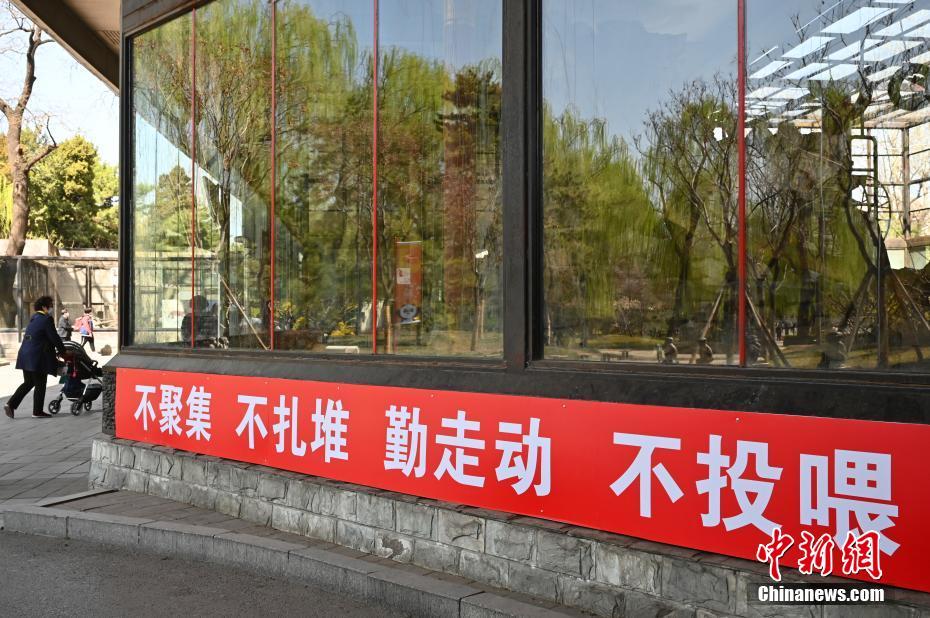 حديقة  الحيوان ببكين  تعيد فتح أبوابها بعد 58 يوما