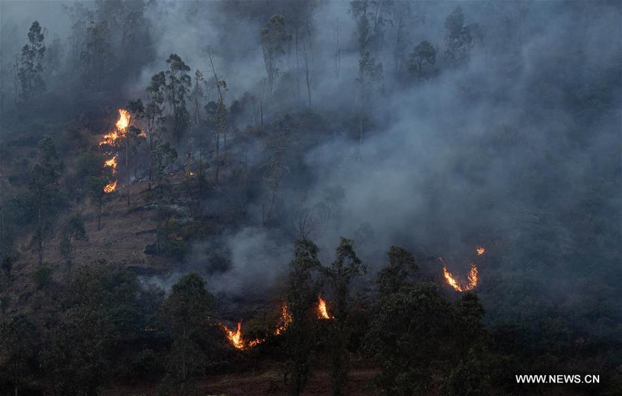 حرائق غابات جنوب غربي الصين