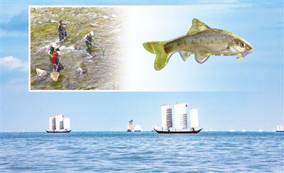 تقرير: عودة الحياة الطبيعية الى بحيرة ديانتشي .... جهود الصين لتحسين البيئة الإيكولوجية