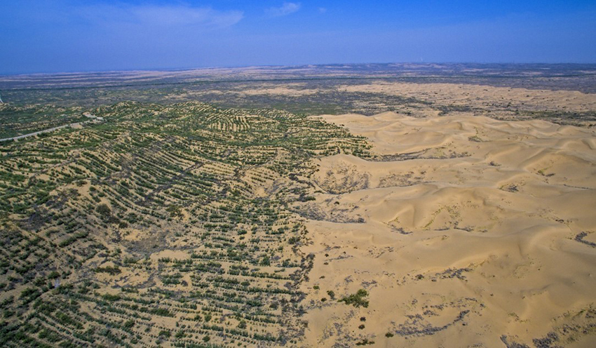 صحراء مووس: معجزة الصين لمكافحة التصحر