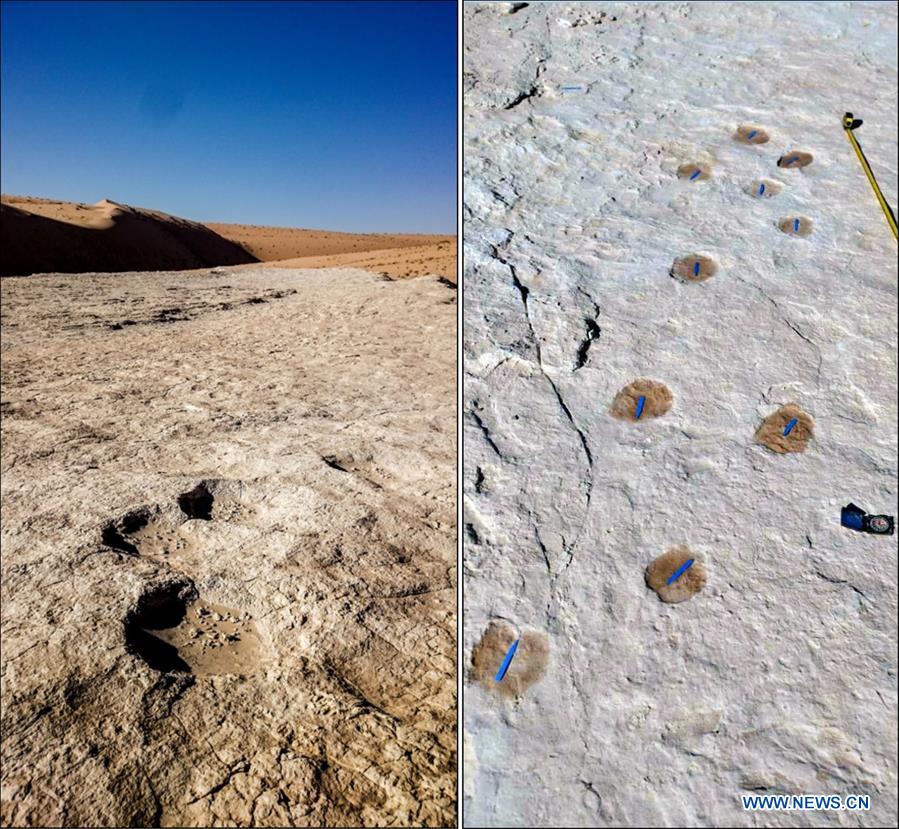 اكتشاف آثار أقدام لبشر وحيوانات تعود إلى ما قبل 120 ألف عام في السعودية