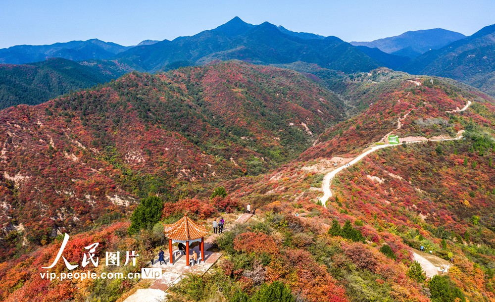 الخريف يبدأ برسم لوحاته في متنزه ماتشوانقو بشمال غربي الصين