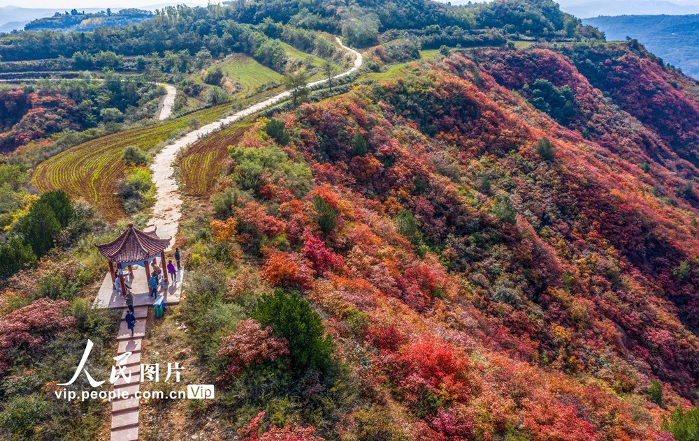 الخريف يبدأ برسم لوحاته في متنزه ماتشوانقو بشمال غربي الصين