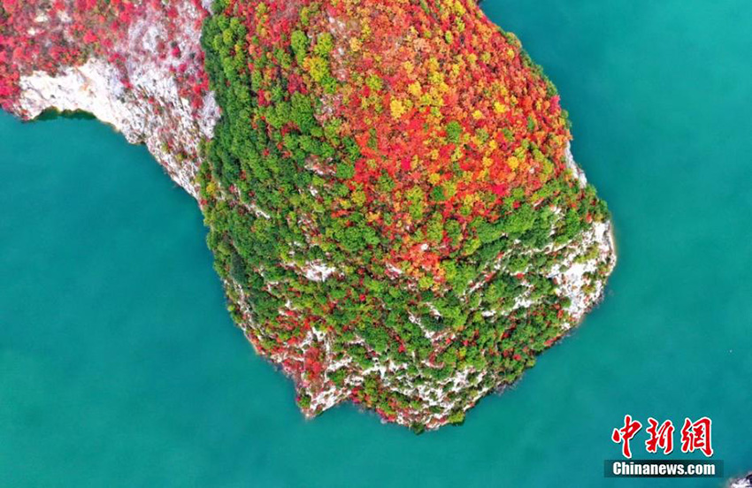 أوراق الخريف الحمراء تحاصر زرقة سد موباي شيا