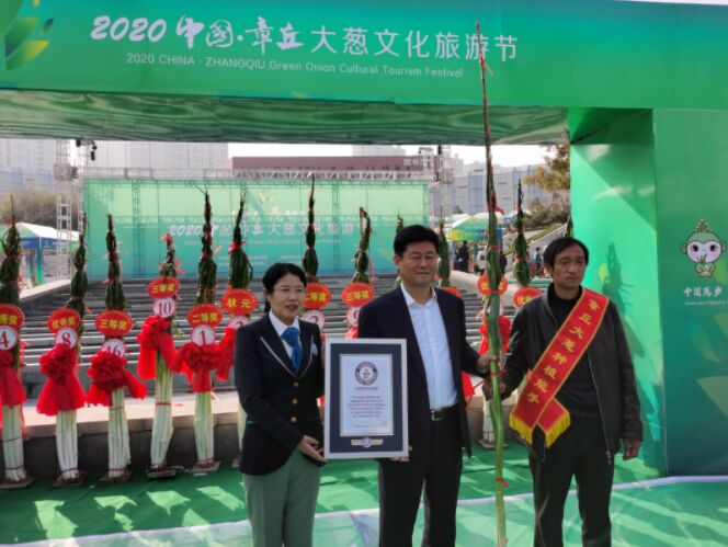 البصل الأخضر في الصين يحطم الرقم القياسي لموسوعة غينيس بطول 2.532 مترًا