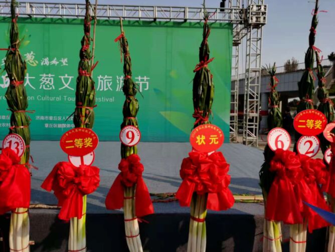 البصل الأخضر في الصين يحطم الرقم القياسي لموسوعة غينيس بطول 2.532 مترًا