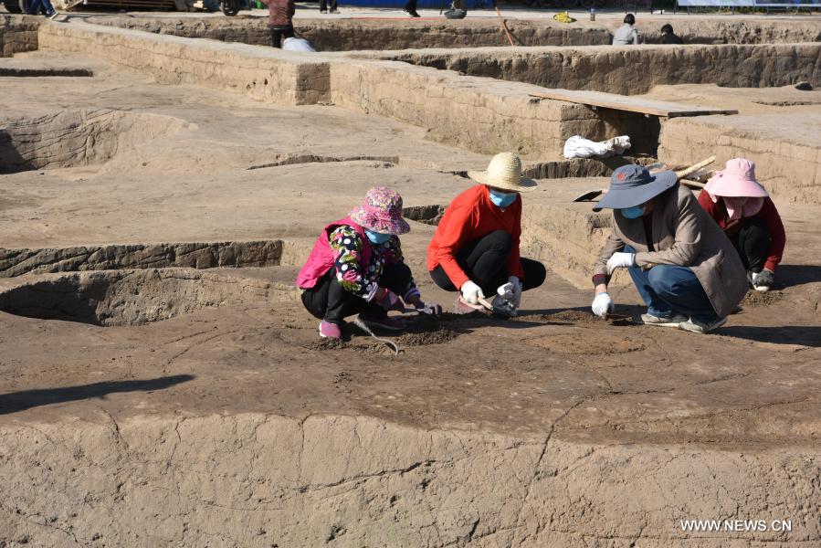 اكتشاف صوامع حبوب تعود لـ 4000 عام في وسط الصين