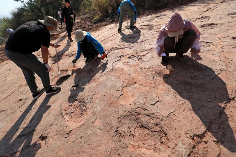 علماء يكتشفون أكثر من 240 قطعة من آثار أقدام الديناصورات في شرقي الصين
