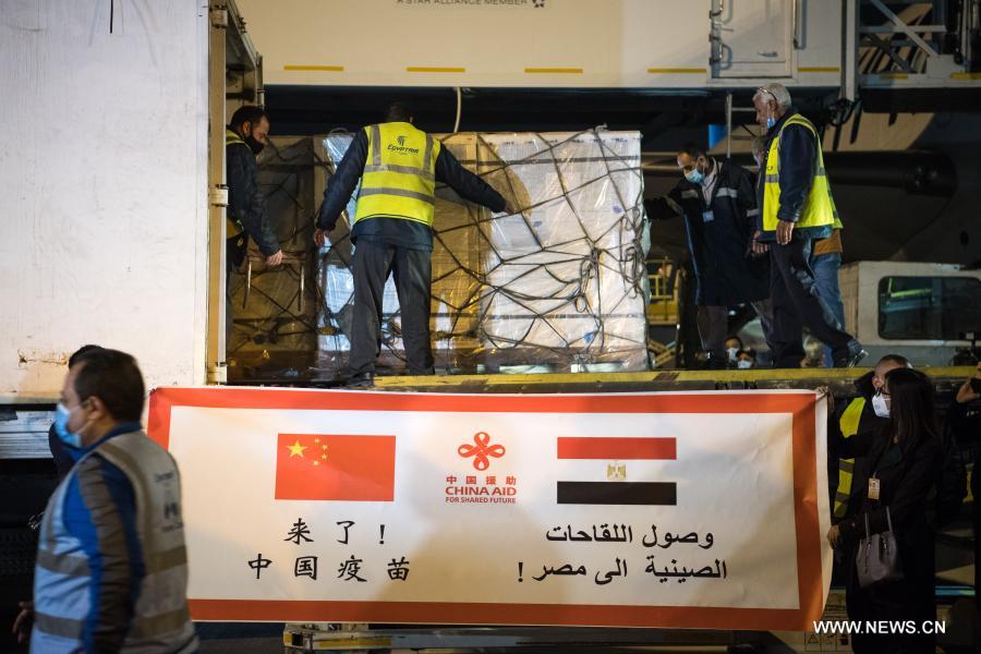 وصول شحنة لقاحات صينية إلى مصر