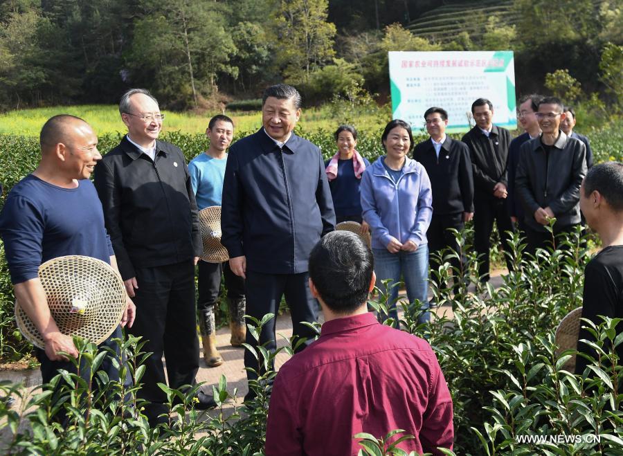 شي يتفقد مزرعة للشاي في مقاطعة فوجيان جنوب شرقي الصين