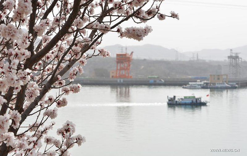 المناظر الربيعية الرائعة لخزان ليوجياشيا شمال غربي الصين