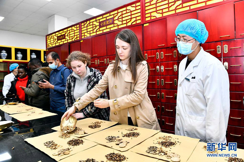 تشينغداو تقدم تجربة خاصة للتعريف بثقافة الطب الصيني