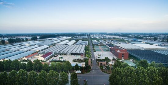 نافذة خاصة لاستكشاف المجتمع رغيد الحياة في الأرياف الصينية(2) ـ شوقوانغ، شاندونغ نموذج للمزارع الذكية في الصين