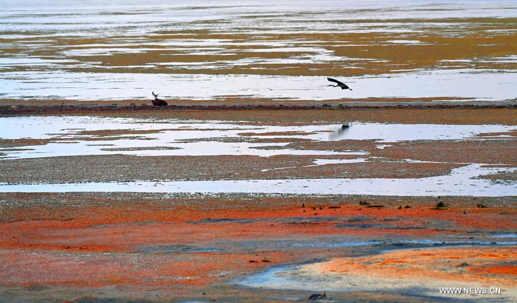 بحيرة الملح في دينغبيان بمقاطعة شنشي الصينية