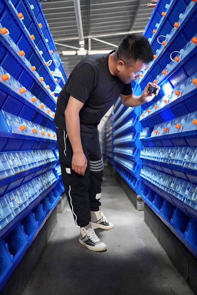 تربية السرطانات الزرقاء داخل الصناديق في مقاطعة تشجيانغ