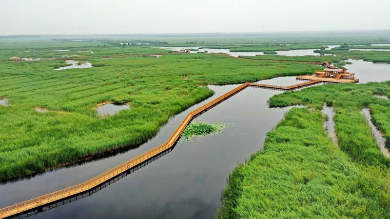 تحسن الوضع البيئي في بحيرة باي يانغ ديان