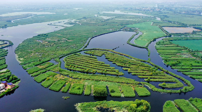 تحسن الوضع البيئي في بحيرة باي يانغ ديان