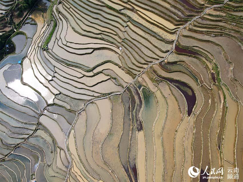الحقول المدرجة في مقاطعة يوننان الصينية