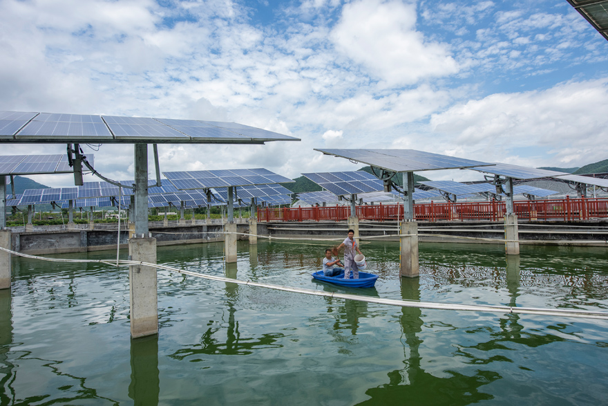 تربية الأسماك وتوليد الطاقة النظيفة في مشروع واحد بقوانغشي، جنوب غربي الصين