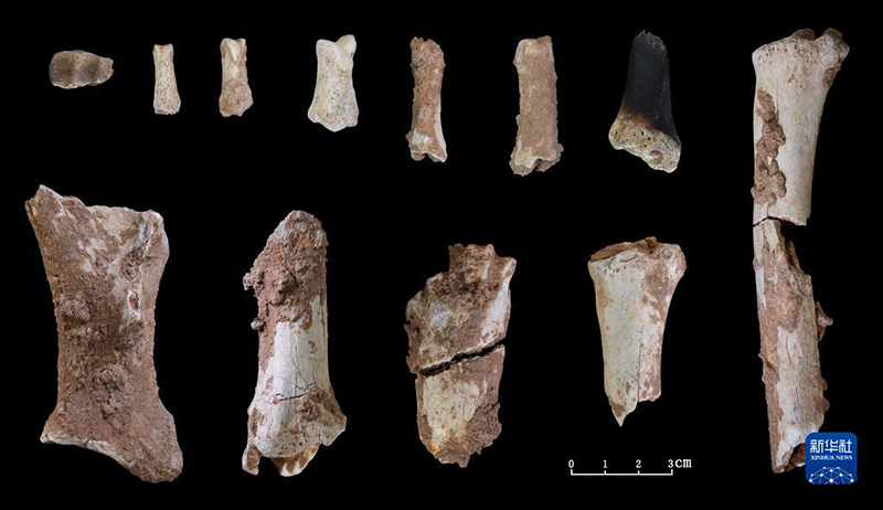 اكتشاف حفرية لجمجمة بشرية يعود تاريخها إلى 32 ألف عام بوسط الصين