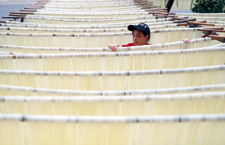 قوانيانغ، قوانغشي: معكرونة بدقيق الارز تساهم في تحقيق رفاهية وجودة الحياة للمزارعين