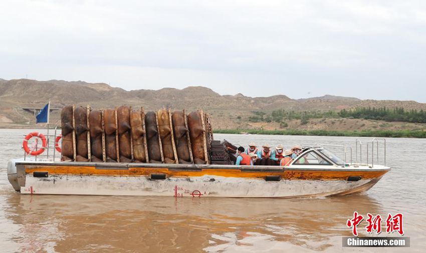 قوارب جلود الغنم في نينغشيا
