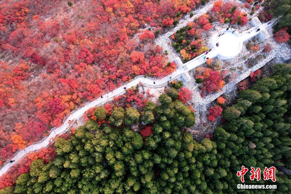 جبل شيه زي يكتسي بمقاطعة شاندونغ باللونين الأخضر والأحمر 