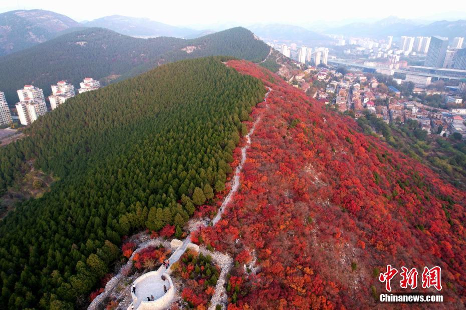جبل شيه زي يكتسي بمقاطعة شاندونغ باللونين الأخضر والأحمر 
