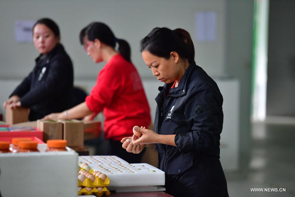 بيع المنتجات الزراعية على الإنترنت بجنوبي الصين