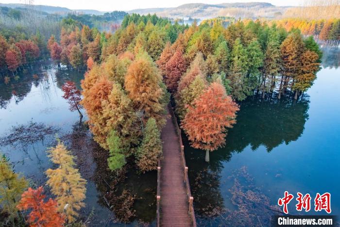 ألوان الخريف تحاكى أجواء الطبيعة الملهمة في بحيرة تيانتشوان بمقاطعة جيانغسو