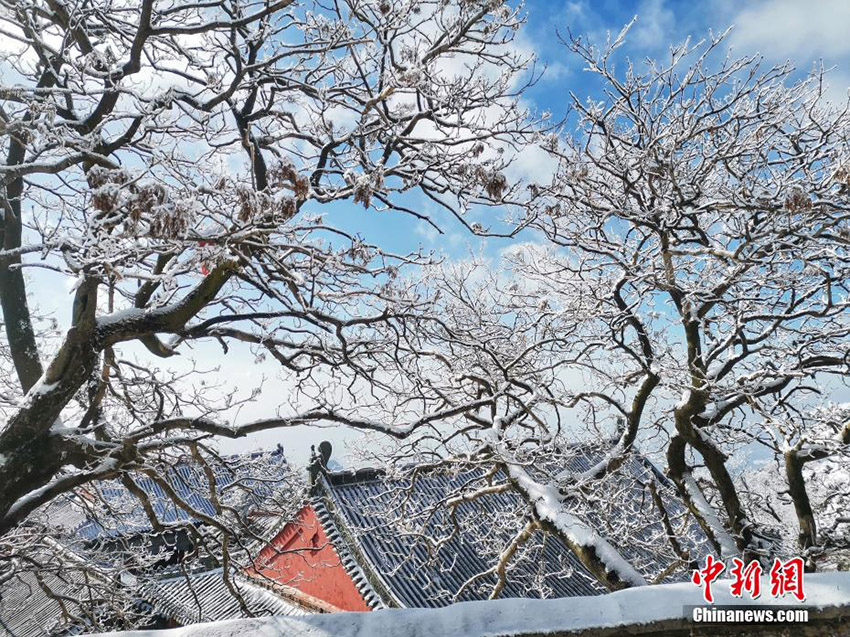 رأس الجبال الخمسة بعد تساقط الثلج .. تحفة رسمتها الطبيعة في الصين