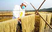 قوانغشان، خنان: صناعة الشعيرية تحقق الثراء للقرويين