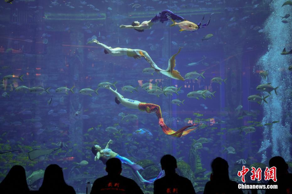 لأول مرة.. معرض حورية البحر الصيني ينطلق في سانيا