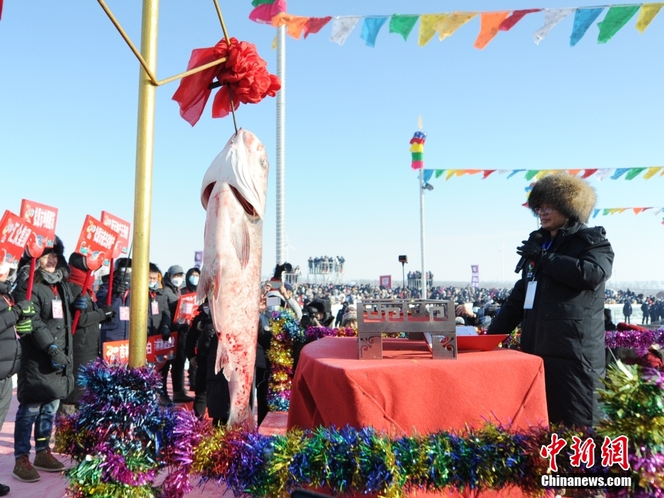 سمكة تباع بـ 3 ملايين يوان بمزاد في شمال الصين